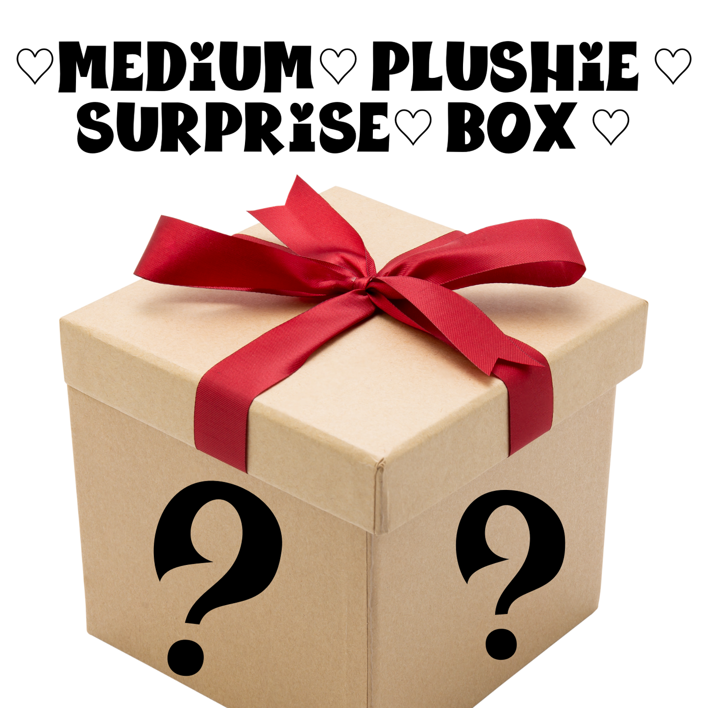 Medium Crochet Plushie Surprise Box, Handmade Crochet Medium Size Plushies Surprise Boxes, Multiple Options