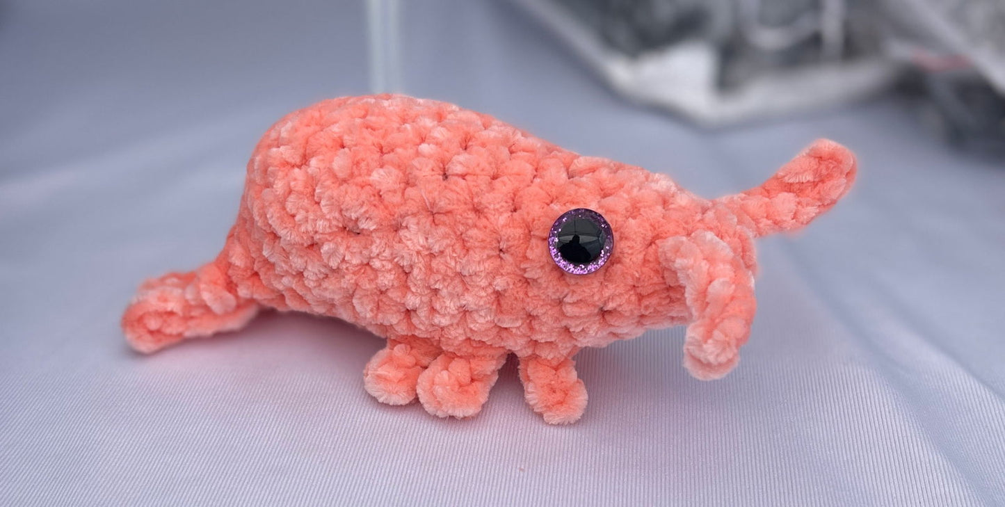 Sheldon the Shrimp - Little Luvin Stitches