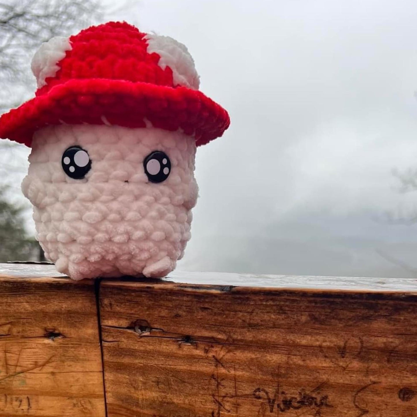 Mac the Mushroom, Handmade Crocheted Doll, Made to Order, Amigurumi Plushie